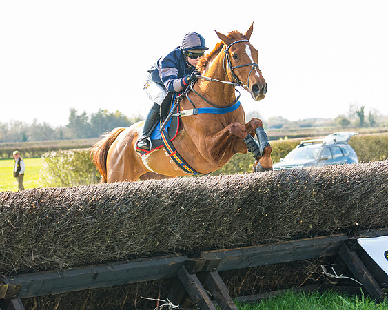 Race 4 - The Warehouse Reit Mixed Open Race  (62 of 124)