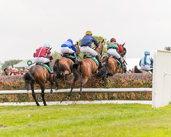 Race 2 - Owner-Trainer Conditions  (98 of 208)