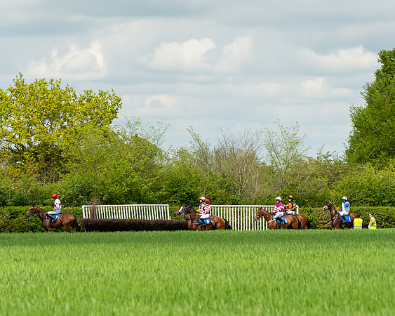 Race 1 - The Condiitions race (43 of 123)