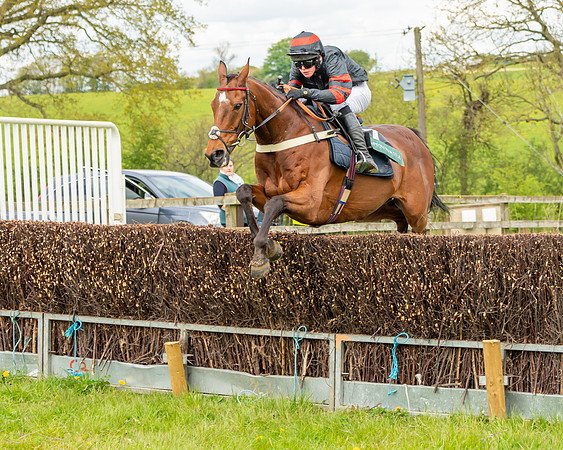 Race 2 - ROR and veteran Horse Conditions race (28 of 77)