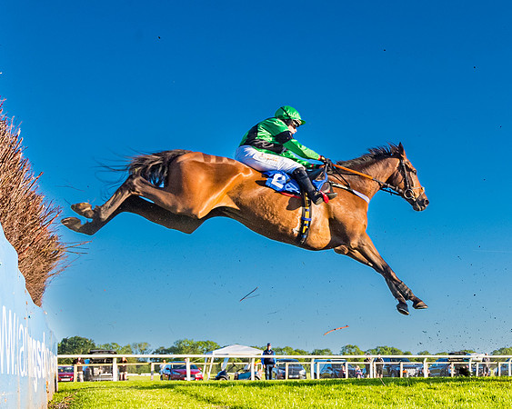 Race 5 - Whitw Swan Handicap (20 of 67)