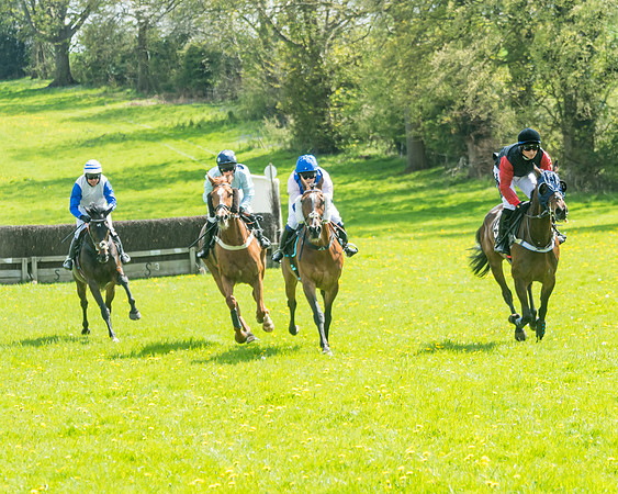 Race 2 - Veteran Horse  (33 of 82)