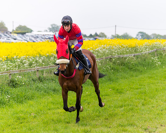 Race 6 - The Maiden [NWFAA] (30 of 143)
