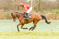 Race 4 - Restricted Race (19 of 72).jpg