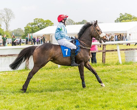 Pony Race 2 - 148cm (5 of 142)