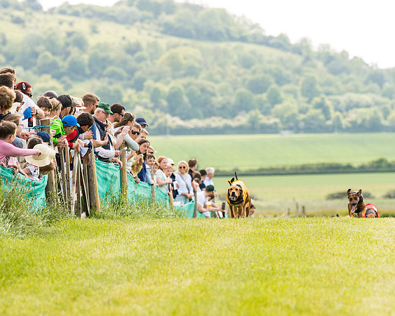 Draghounds Race (67 of 212)