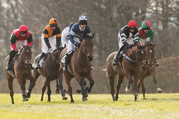 Race 5 - Restricted Race (39 of 98).jpg