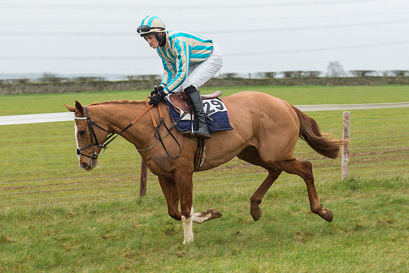 Race 6 - Open Maiden Race Div 1  (32 of 90).jpg