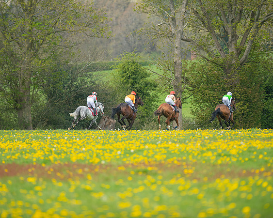 Ponies and Side saddle (56 of 69)