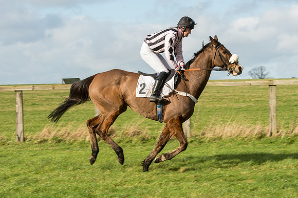 Race 3 - PPORA Members Novice Riders (23 of 84).jpg