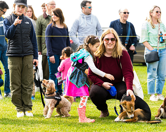 Dog show etc (47 of 157)