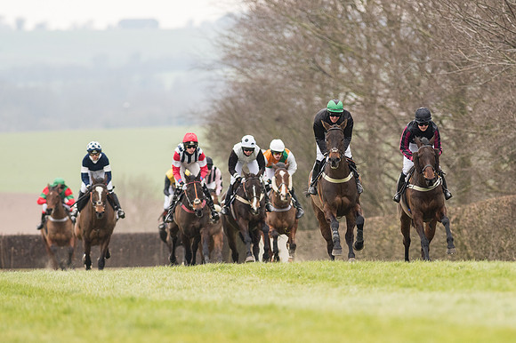Race 2 - PPORA Novice riders  (77 of 186).jpg