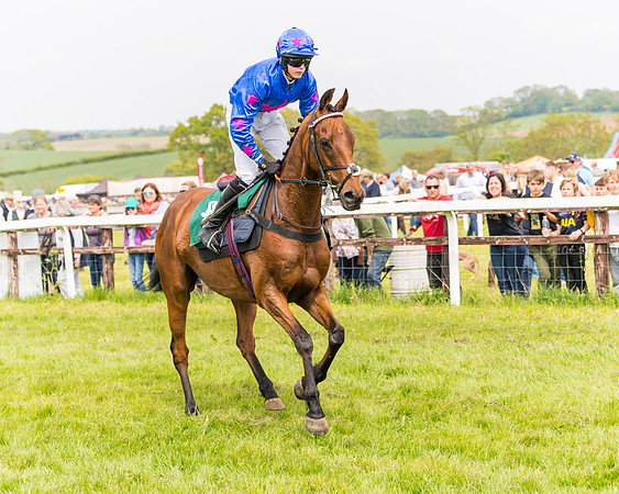 Race 2 - Owner-Trainer Conditions  (54 of 208)