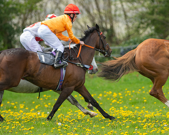 Ponies and Side saddle (46 of 69)