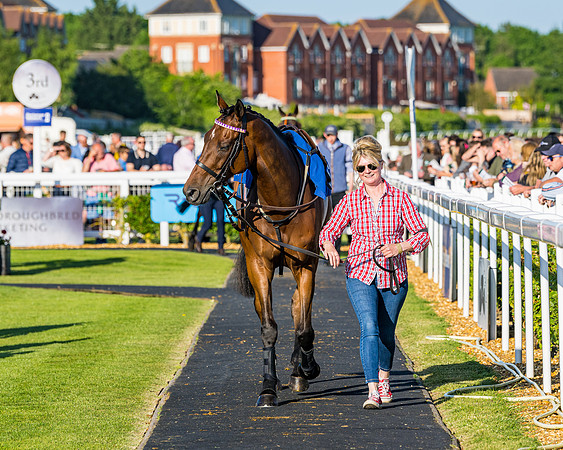 Race 4 - Foxhunters Championship (11 of 175)