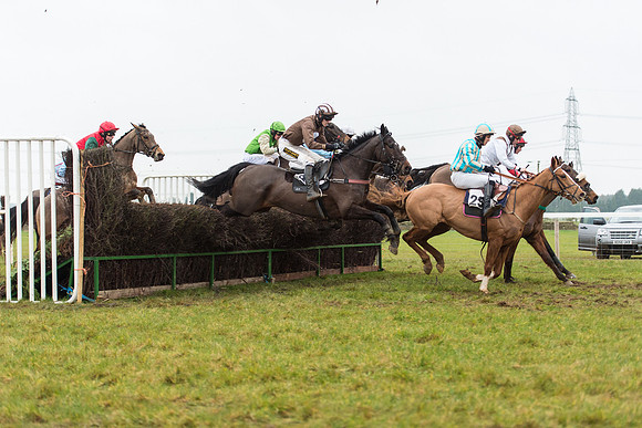 Race 6 - Open Maiden Race Div 1  (57 of 90).jpg