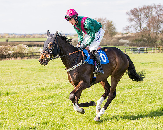 Race 5 - The Waverton Investment Management Ltd Restricted Race farmers and subscribers Race  (50 of 161)