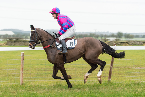 Race 6 - Open Maiden Race Div 2  (27 of 118).jpg