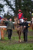 Race 8 - Young Horse Maiden  (4 of 85).jpg