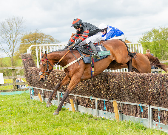 Race 2 - ROR and veteran Horse Conditions race (48 of 77)