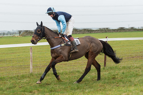 Race 6 - Open Maiden Race Div 1  (23 of 90).jpg