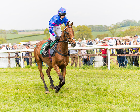 Race 2 - Owner-Trainer Conditions  (53 of 208)