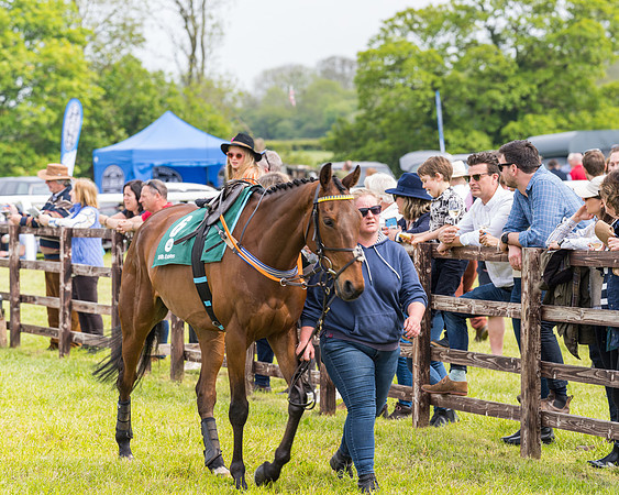 Race 2 - Owner-Trainer Conditions  (21 of 208)