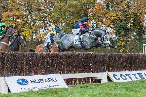 2 Mile 4 Furlong Maiden Race -11