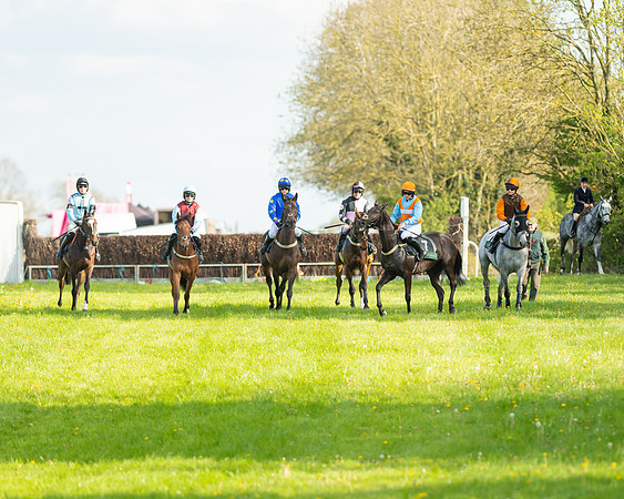 Race 7 - Maiden  (31 of 113)
