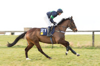 Race 6 Div 2 - Open Maiden  (24 of 131).jpg