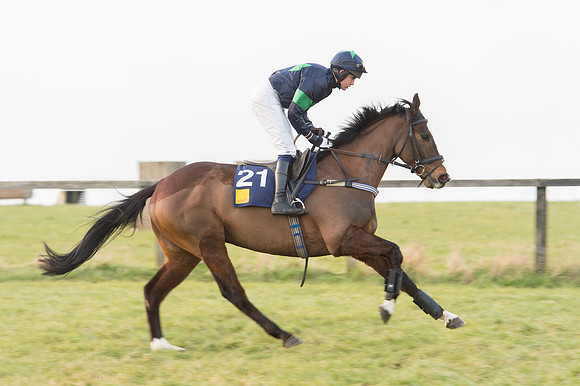 Race 6 Div 2 - Open Maiden  (24 of 131).jpg