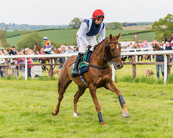 Race 6 = Maiden (26 of 187)