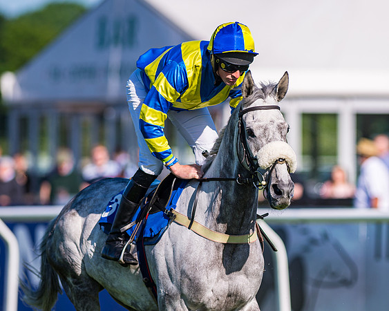 Race 1 - JFF Open Hunter Steeple Chase 2m  (27 of 202)