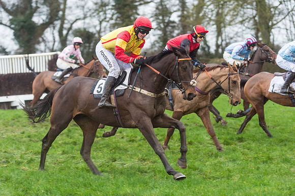 Race 8 - Young Horse Maiden  (53 of 85).jpg