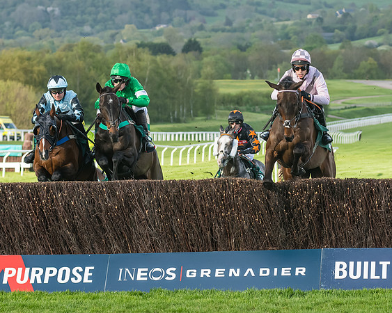 Race 3 - KTDA Open Hunter Chase (108 of 317)
