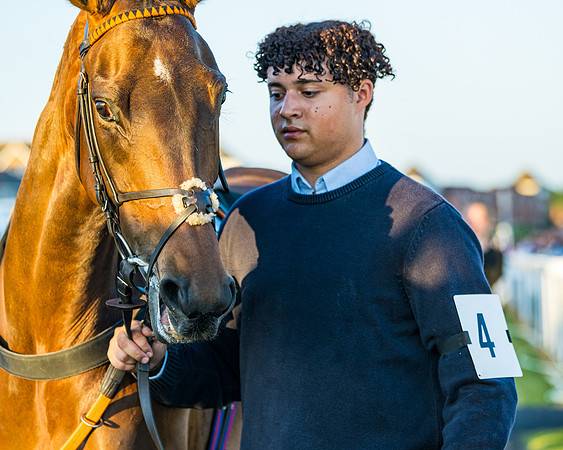 Race 7 - ITM NH Flat Race (29 of 197)