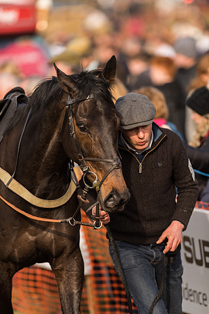 Race 4 - Novice and Veteran Riders (5 of 115).jpg
