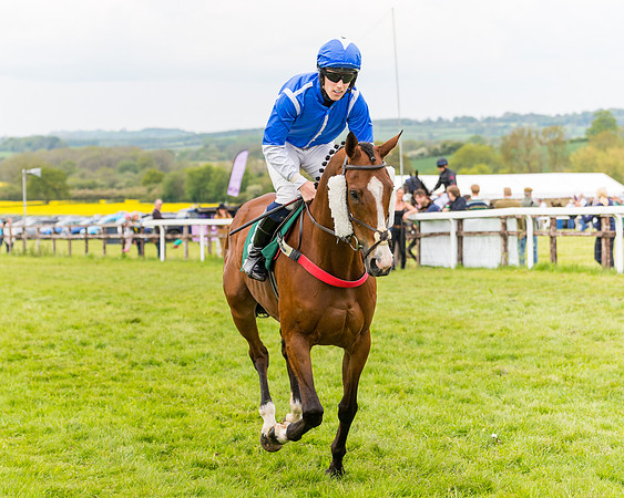 Race 7 - Veteran Horse conditions (58 of 244)