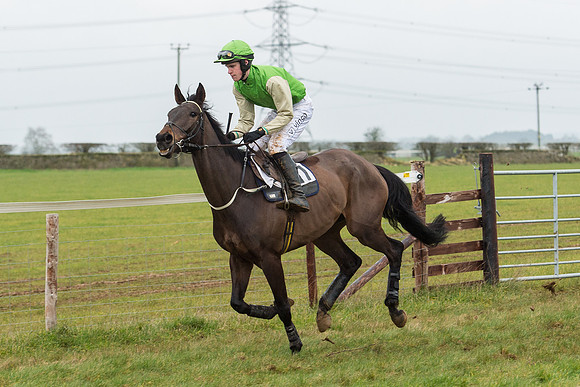 Race 6 - Open Maiden Race Div 1  (18 of 90).jpg