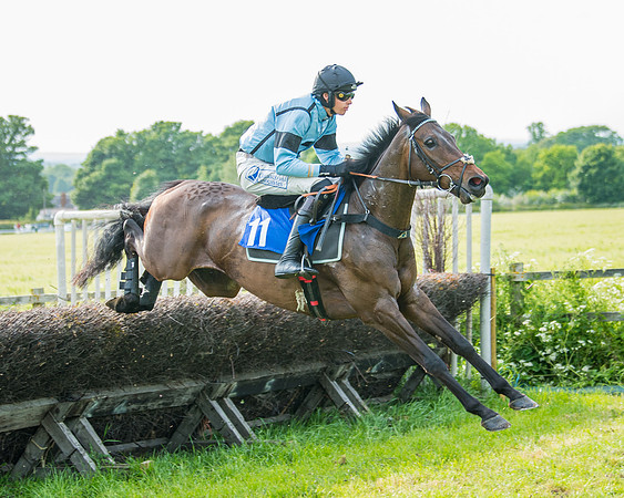 Race 6 - Open Maiden (169 of 346)