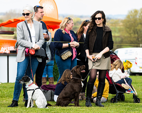 Dog show etc (106 of 157)