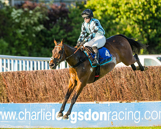 Race 3 - John Corbet Cup (67 of 127)