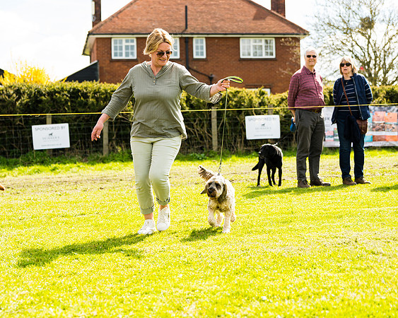 Dog show etc (79 of 157)