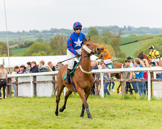 Race 7 - Veteran Horse conditions (69 of 244)