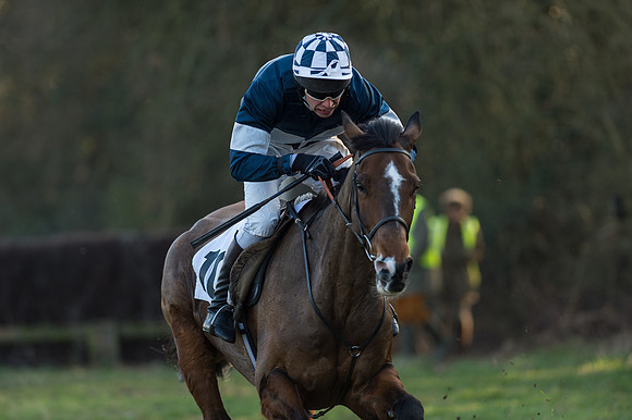 Race 6 - Open Maiden Div 1 (32 of 83).jpg