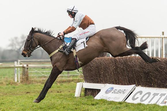Race 4 - Ladies Open Race (85 of 96).jpg