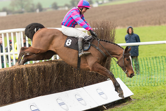 Race 1 - Young Horse Maiden (49 of 50).jpg