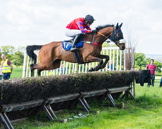 Race 5 - 2m5f Maiden (42 of 144)