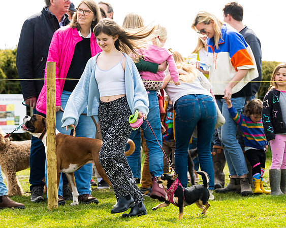 Dog show etc (54 of 157)