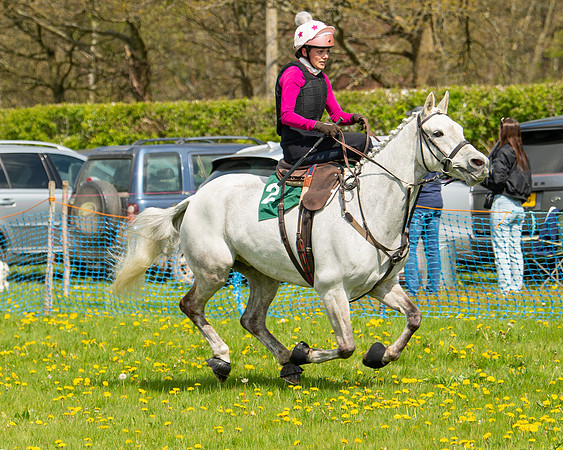 Ponies and Side saddle (58 of 69)